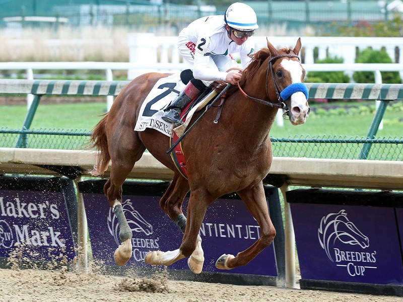 Preview: Breeders' Cup Classic 2020 (Horses, Race Info, Race ...